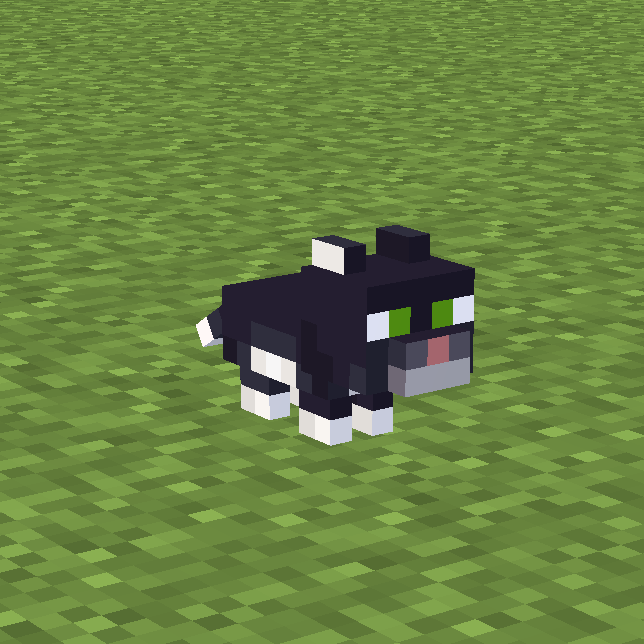 Cat (+ variants)