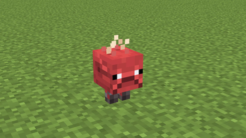 Baby Strider