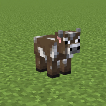 Cow (+ variants)