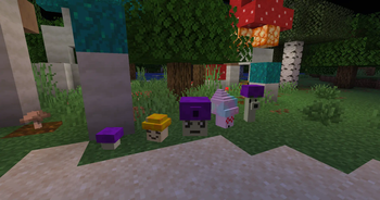 Mushroom Garden