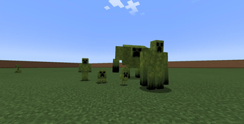 CSMM Creepers (ON)