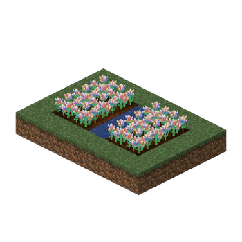 魔法种子作物