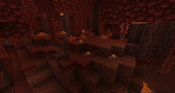 scene1