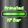 Animated Green XP Bar