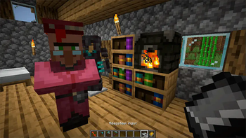Meet the new Loremaster Villager