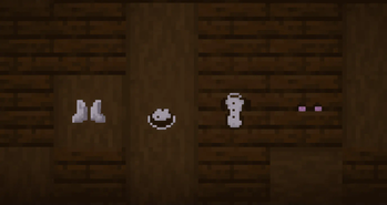 The maid's armor!