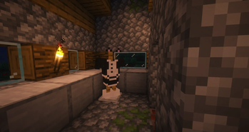 The maid's armor!