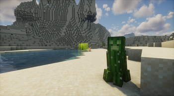 Desert Creeper