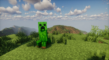 Plains Creeper