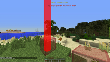 Timer and Flag reaction