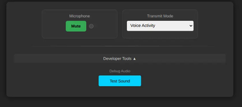 Audio Controls