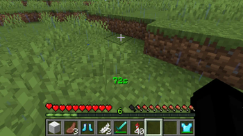Elytra Disable Timer