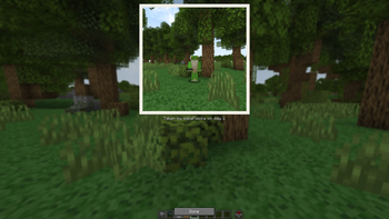 Photo & Newspaper Mod — screenshot 1