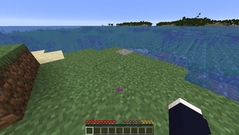Pitch Display Screenshot 2