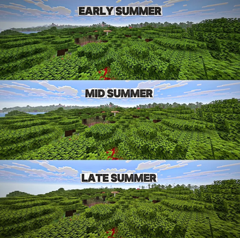 Summer_Season