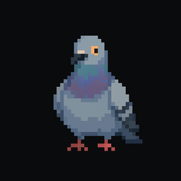 Pigeon