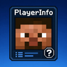 PlayerInfo