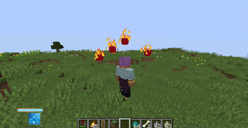 Fire Baangs