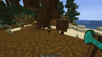 Tree felling without replant