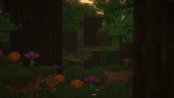 Dark Oak Forest