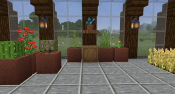 Big Flower Pots & Wall Lanterns