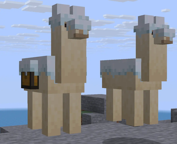 Snow Llamas