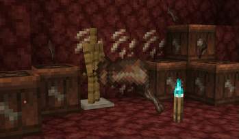 Forgotten bones