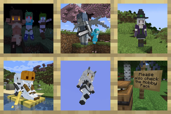 Experiment & Hobbies