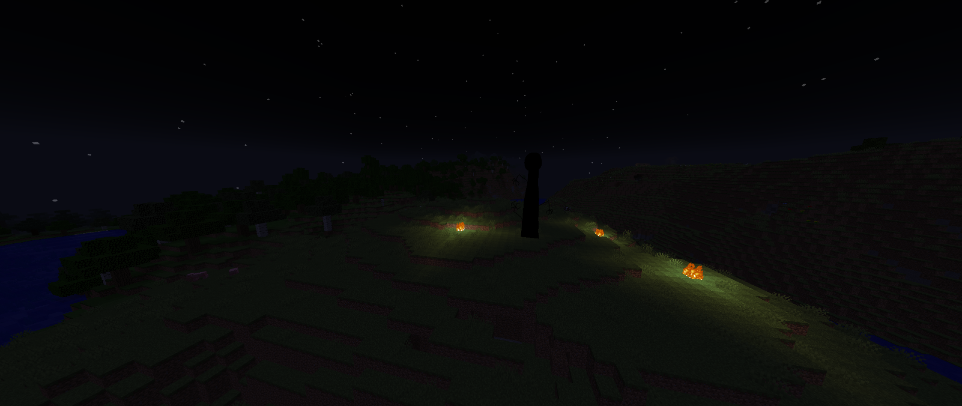The Stalk