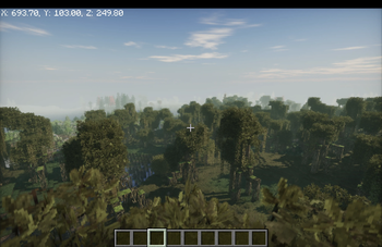 A Swamp
