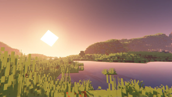 sunset