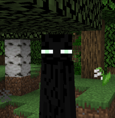 Beta Enderman