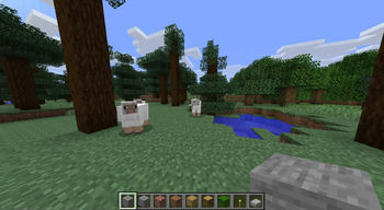 Sheep