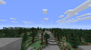 View over a spruce forest