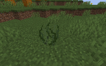 Stringy Plant