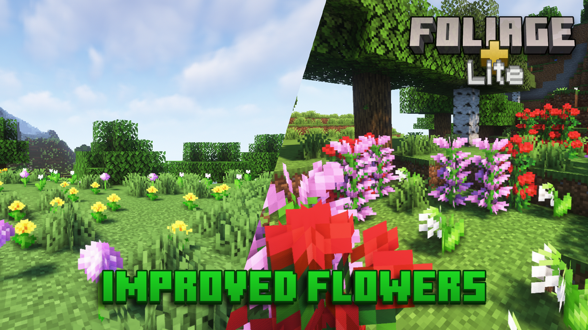 Improved Flowers