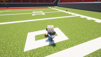 Football Helmet and Shoulder Pads