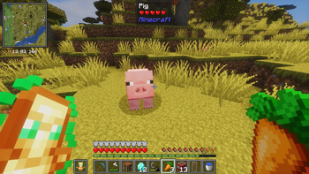 pig.
