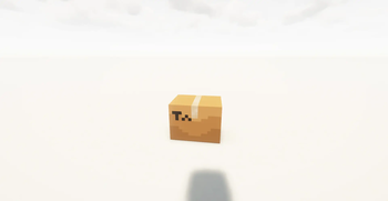 someone's home