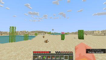 Scenery