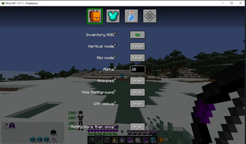 Custom HUD