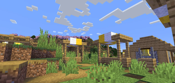 Village