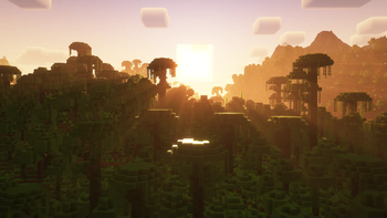 Jungle Sunset