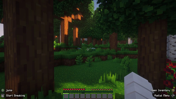 Shaders On | Forest
