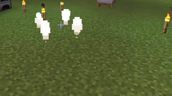 Public Warp ChekPoint Version 1.0.0