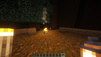 1st Person View of Torch and Lantern