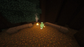 3rd Person View of Torch and Lantern