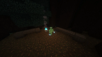 3rd Person View of Soul Torch and Soul Lantern