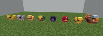 1.3 Chicks