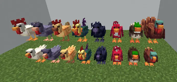 1.3 Chickens